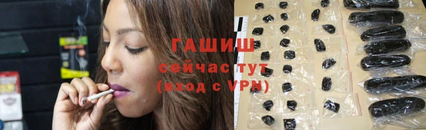 тгк Каменка