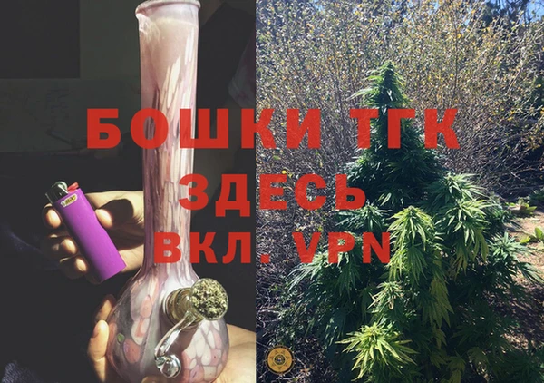 тгк Каменка