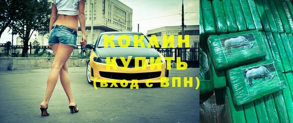 тгк Каменка