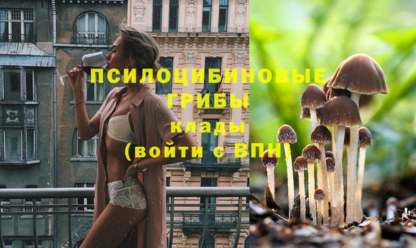 тгк Карпинск