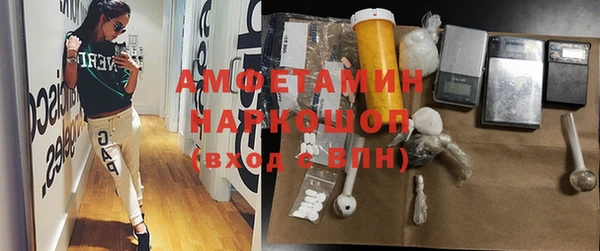тгк Каменка