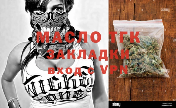тгк Каменка