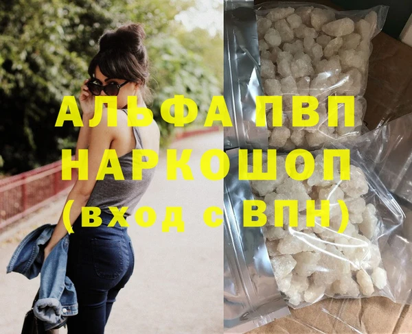 дживик Касимов