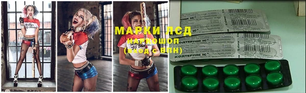 тгк Каменка